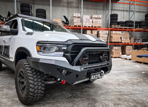 DT_ram_with_round_hoop__81397